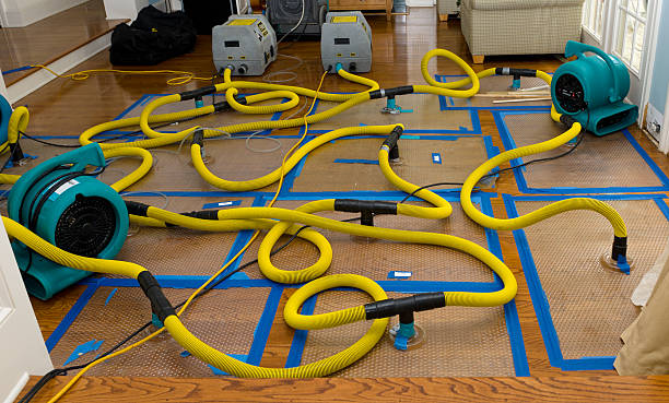 Professional Sewage Cleanup technician working in Wimauma, FL